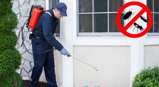 Pazarcık Böcek ve Haşere İlaçlama böcek ilaçlama ve haşere kontrolü — ilaclama-tr.com